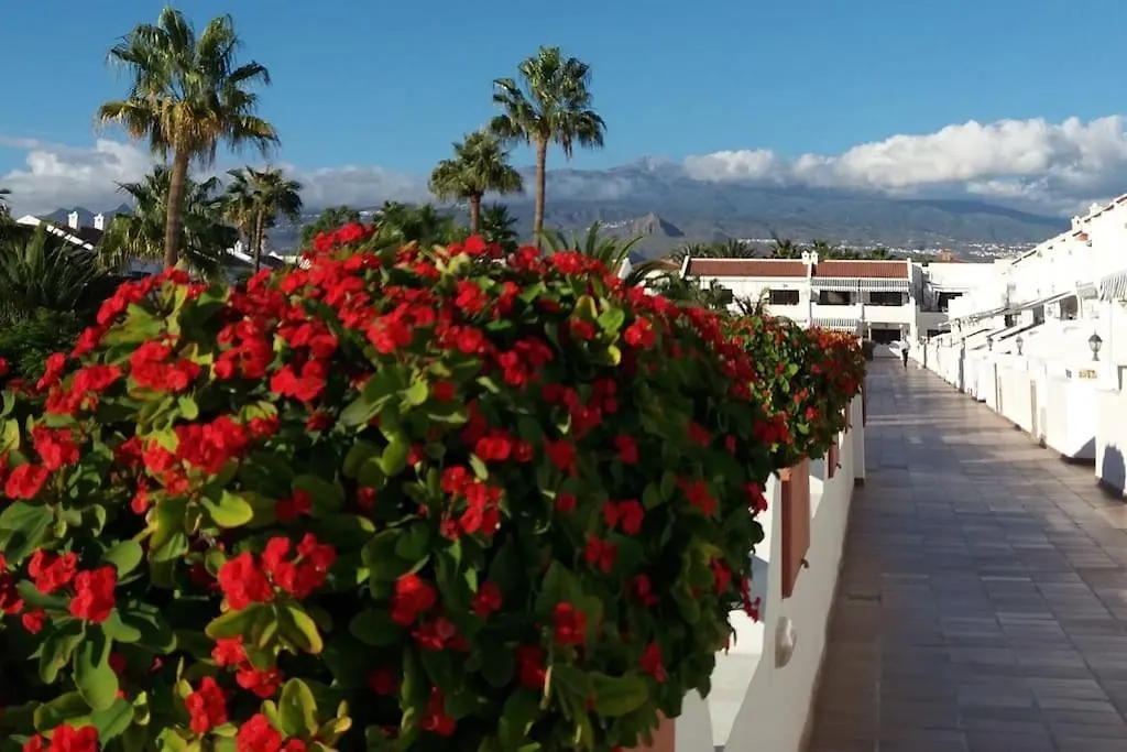 Bright Apartment With Pool In Tenerife South Costa Del Silencio